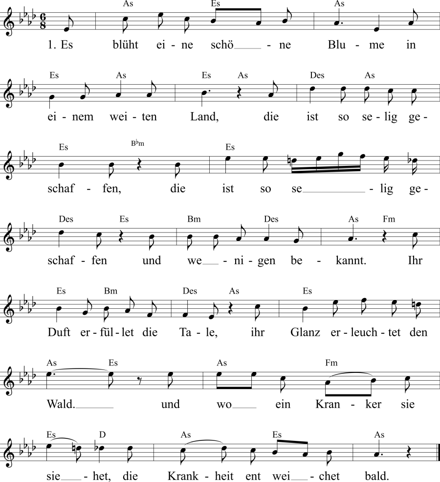 Musiknoten zum Lied - Die Blume der Blumen